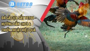 Đá gà cựa sắt BET88 – Mẹo và bí quyết thắng lớn hot 2025