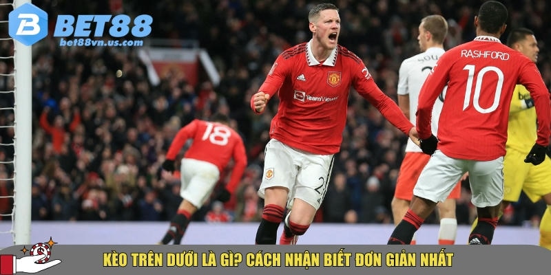 Kèo trên dưới là gì? Cách đọc và bắt kèo hiệu quả nhất 1 Giới thiệu tổng quan về kèo trên dưới