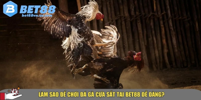 Đá gà cựa sắt BET88 – Mẹo và bí quyết thắng lớn hot 2025 2 Cách chơi đá gà cựa sắt tại BET88 dễ dàng