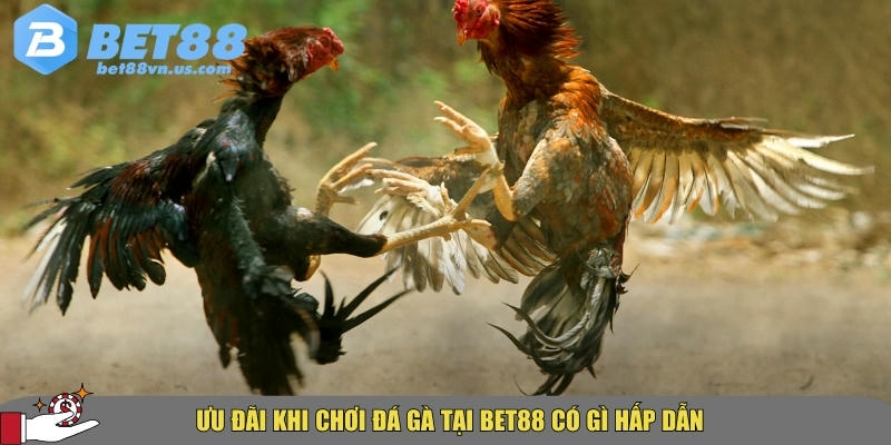 Các ưu đãi và khuyến mãi này chỉ có tại nhà cái BET88